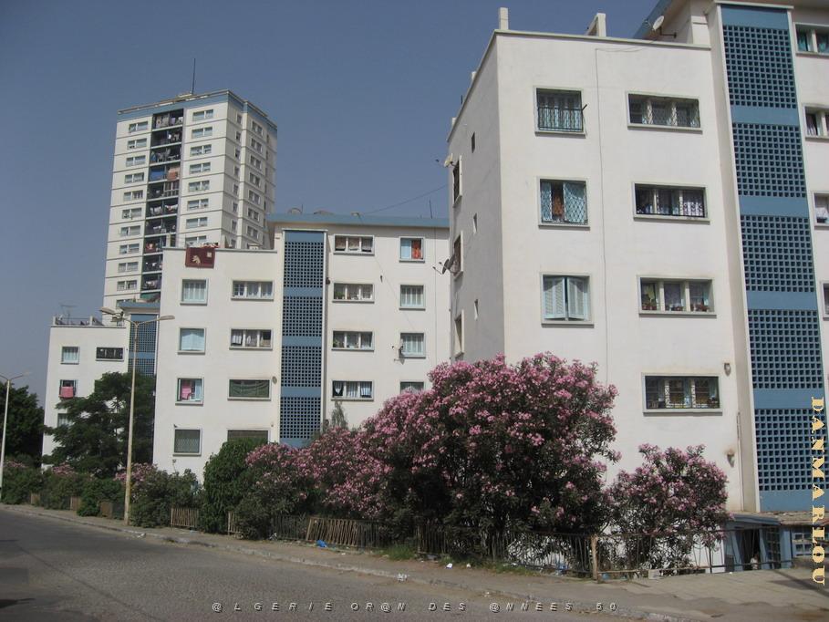 2375 cite la fontaine.jpg